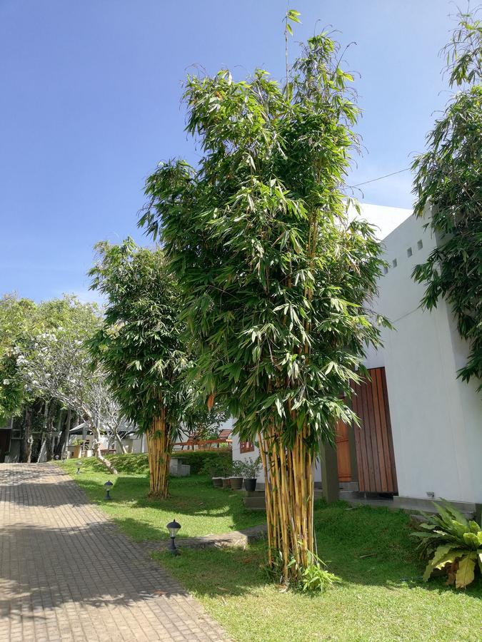 Oak Residencies Villa คิริบัทโกดา ภายนอก รูปภาพ